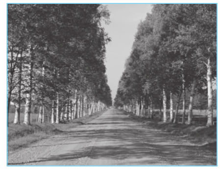 Screenshot from 2019-06-08 18-47-24